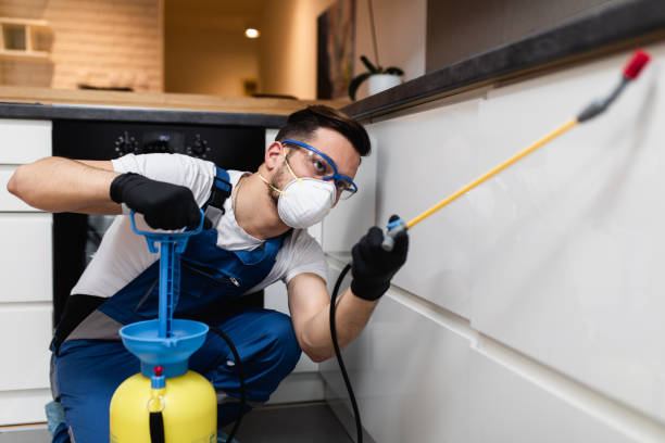 Best Local Pest Control Services  in Bakersfield Country Clu, CA