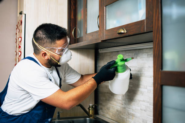 Best Flea Control Services  in Bakersfield Country Clu, CA