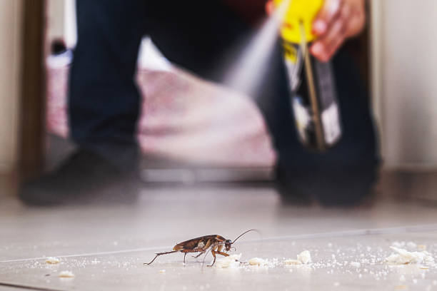 Best Cockroach Control Services  in Bakersfield Country Clu, CA